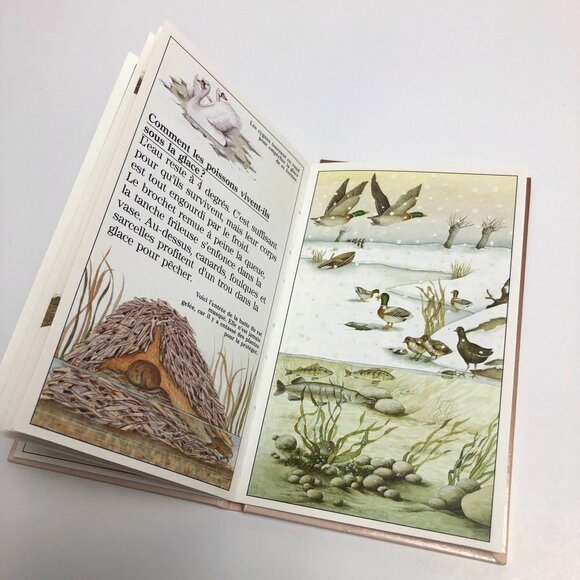 2 Livres jeunesse vintage 90s 🦊 Documentaire + Roman Fantastique Maître Renard - Picture 9 of 9